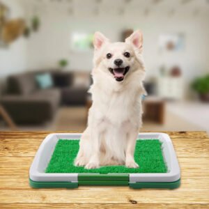Litiera Inteligenta cu iarba artificiala pentru caini si catei de talie mica, 47 x 34cm