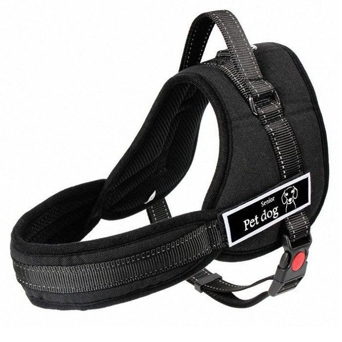 senior-pet-dog-harness.jpg